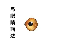 国画工笔鸟眼睛画法，染色技巧要点教程，传统技法与创新完美融合