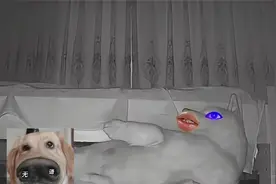 你除了弄我一身口水，你还能干嘛！视频封面