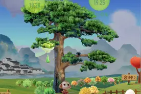 蚂蚁森林是怎么泄露隐私的？以前不知道，看完赶紧关掉了这个开关