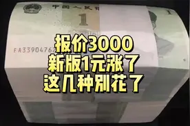 报价3000！新版1元纸币涨了，这几种别再花出去了视频封面