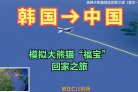 在韩大熊猫“福宝”明日回国！模仿福宝回家飞行轨迹，看下怎么飞