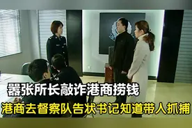 影视：所长敢敲诈港商捞钱，港商愤怒去督察队告状，书记带人抓捕视频封面