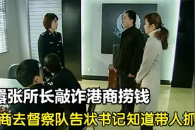 影视：所长敢敲诈港商捞钱，港商愤怒去督察队告状，书记带人抓捕视频封面