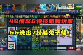 梦幻西游：拿66洗7技能兔子怪？愤怒6特技49玩家展示，真会玩！