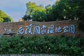 冒着39度的高温，带你逛杭州西溪国家湿地公园最值得玩的免费景点视频封面
