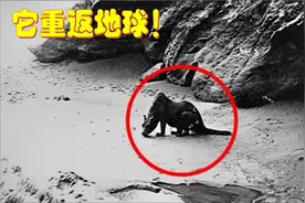 这个已经灭绝，1万年前就没有的物种再现地球，原因未知