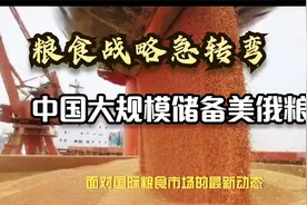 粮食战略急转弯？中国大规模储备美俄粮，全球供应链震动！视频封面