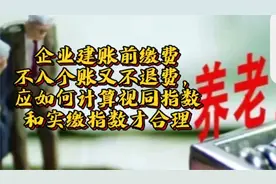 企业建账前缴费不入个账又不退费，应如何计算视同指数和实缴指数视频封面
