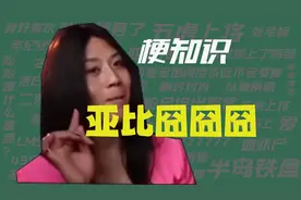 【梗知识】亚比囧囧囧