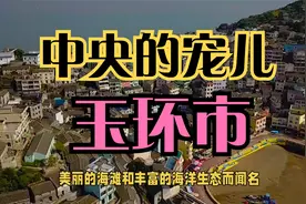 百强县之浙江玉环市——中央的宠儿视频封面