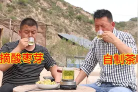 俩兄弟上山采酸枣芽自制茶叶，喝上一口清香回甘，太美了！视频封面