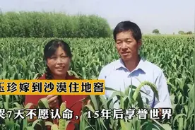1985年，殷玉珍嫁到沙漠住地窖大哭7天不愿认命，15年后享誉世界视频封面