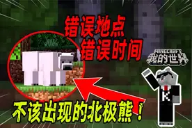 我的世界：当你在不该出现北极熊的地方看到它，请立刻删除世界！