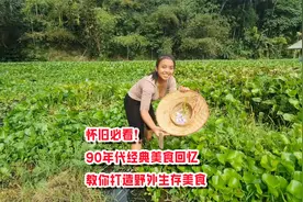 怀旧必看！90年代经典美食回忆，教你打造野外生存美食视频封面