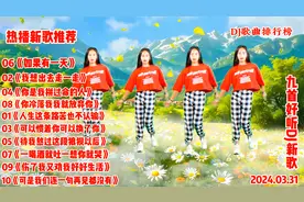 新歌推荐十首好听DJ新歌《人生这条路苦也不认输》我想出去走一走