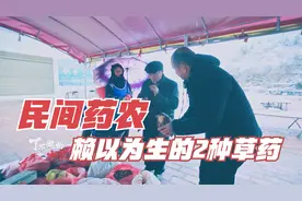 民间经验应该传承吗？一种漆树上的疙瘩，老药农如何治疗肺结节视频封面