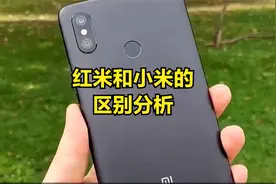 红米和小米的区别分析
