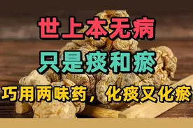 倪海厦：世上本无病，只是痰和瘀，巧用两味 ，化痰又化瘀！视频封面