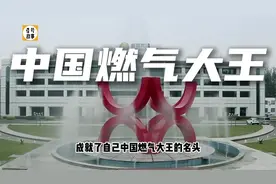 中国燃气大王，扛煤气罐发家，正是河北首富视频封面