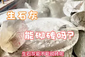 生石灰能砌砖吗？一条视频给大家讲清楚@砖饰界装饰视频封面