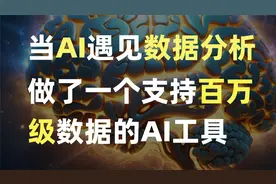 爆肝6个月，自制AI数据分析工具，帮你通过AI自动进行数据分析视频封面
