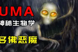 【UMA系列】CCTV-10的童年阴影！美国多佛大头怪是外星生物吗？视频封面