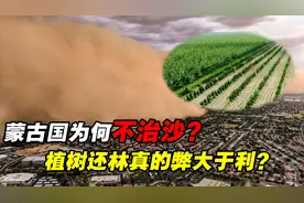 为何蒙古国不治理沙漠？美专家：中国治沙弊大于利，是真是假？