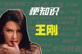 【梗知识】王刚是什么意思？视频封面