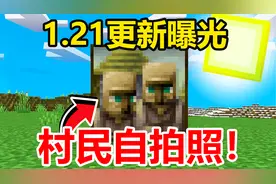 我的世界：村民有自拍照了！渗浆药水史诗级削弱！