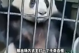 动物园小动物们下班时的状态能有多有趣，出场方式更是千奇百怪