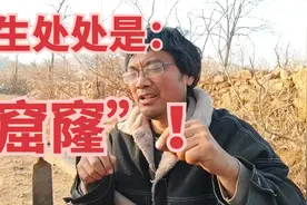 人生处处是“窟窿”！视频封面