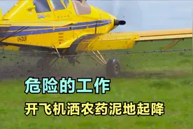 澳大利亚开飞机喷农药，一公顷承包价12澳元，一天覆盖2000公顷视频封面