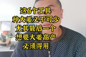 这6个工具，种大姜必不可少尤其最后一个，想要大姜高产必须得用视频封面