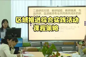 区域推进综合实践活动课程策略 点评专家 华东师大李宝敏教授