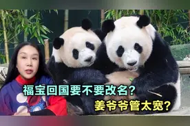 福宝回国要不要改名？姜爷爷管太宽？@美国高娓娓视频封面