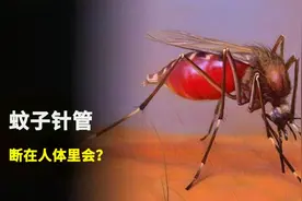 把正在吸血的蚊子拍死，针管会留在体内吗？视频封面