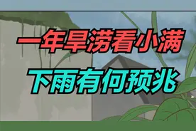 今日小满，俗话“一年旱涝看小满”，小满这天下雨有何预兆？视频封面