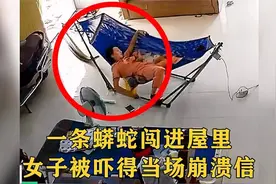 一条蟒蛇闯进屋里，女子哄小孩并没察觉，下一秒被吓得当场崩溃！视频封面
