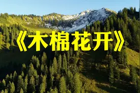 《木棉花开》好听的纯音乐琵琶曲加长版，让人陶醉，通俗易懂