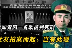1970年南京知青因一首歌被判死刑，许世友闻讯拍案而起：岂有此理视频封面