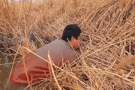 河道徒手摸鱼，竟然抓到“超级大黄辣丁”，这么大你见过吗