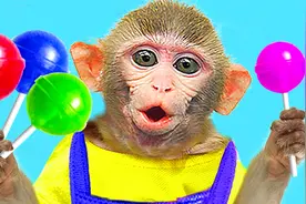 有趣的小猴子：小猴子因水果棒棒糖引发连串麻烦，究竟怎么回事？视频封面