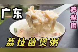 鸡枞菌，在广东称荔枝菌，味道鲜美，营养丰富，今天挖了好多煲粥视频封面