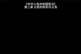 宪法第33条 公民有言论、出版、集会、结社、游行、示威的自由视频封面