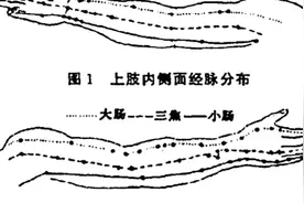 经络特定穴（上）视频封面