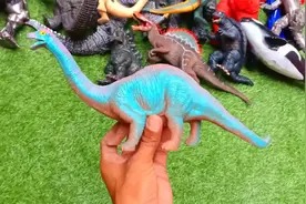 各种各样彩色的恐龙玩具，我们一起来认识这些恐龙们吧！