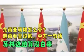 东南亚蛋糕怎么分？越南心里没底，中方一句话，苏林这趟算没白来视频封面