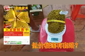 63元在网上买了一个金枕榴莲，打开后发现太坑了！视频封面