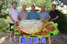 1只鳄龟，1只鸡，食叔做网红“霸王别鸡”，香气四溢，越吃越香