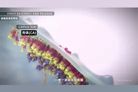 吉利德公布药物临床结果，可能终结艾滋病